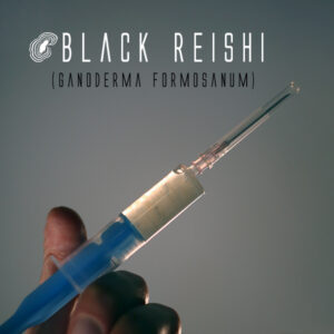 black reishi liquid culture