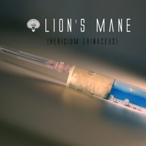 lion's mane liquid culture