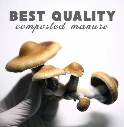 Shroomzorganik - composted manure mushroom substrate